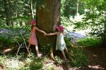 Kinder zeigen ihre Liebe zur Natur und umarmen einen Baum.
